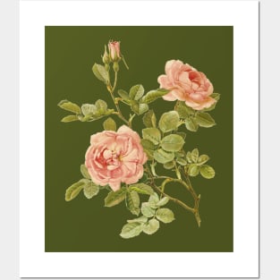 Vintage Rose Flower Posters and Art